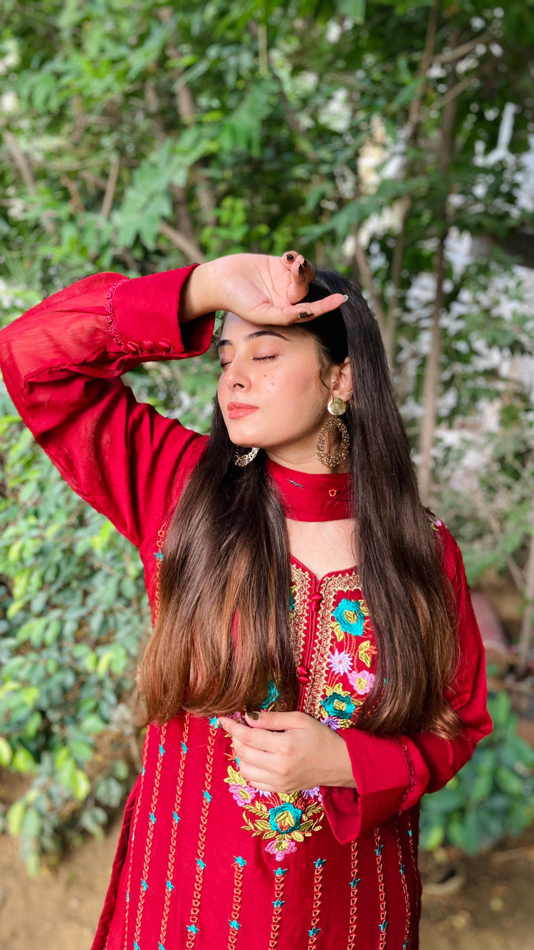 Elegant Chiffon Embroidered 3-Piece Suit