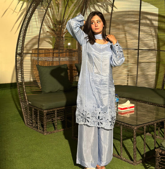 Shop elegant 3 Pcs Pure Pakistani Rawsilk Suit