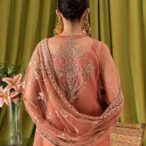 Wearza Most Hit Design Soft Net Emb Luxury Wedding Collection 2024